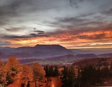 IMG_20211020_181804-01